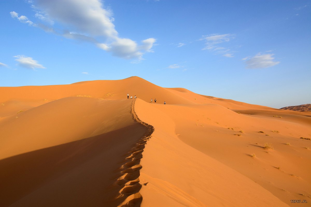 TP4_5044.jpg - Erg Chebbi. Sahara