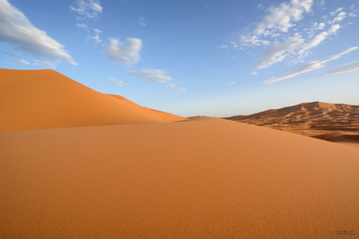 TP4_5055.jpg - Erg Chebbi. Sahara