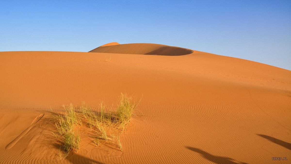 TP4_5180.jpg - Erg Chebbi. Sahara