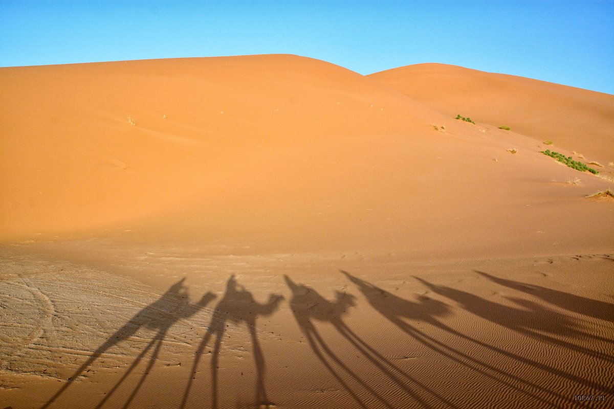 TP4_5185.jpg - Erg Chebbi. Sahara