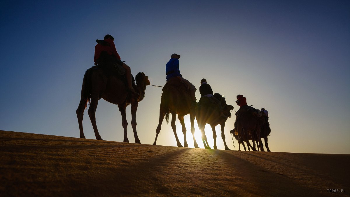 TP4_5200.jpg - Erg Chebbi. Sahara