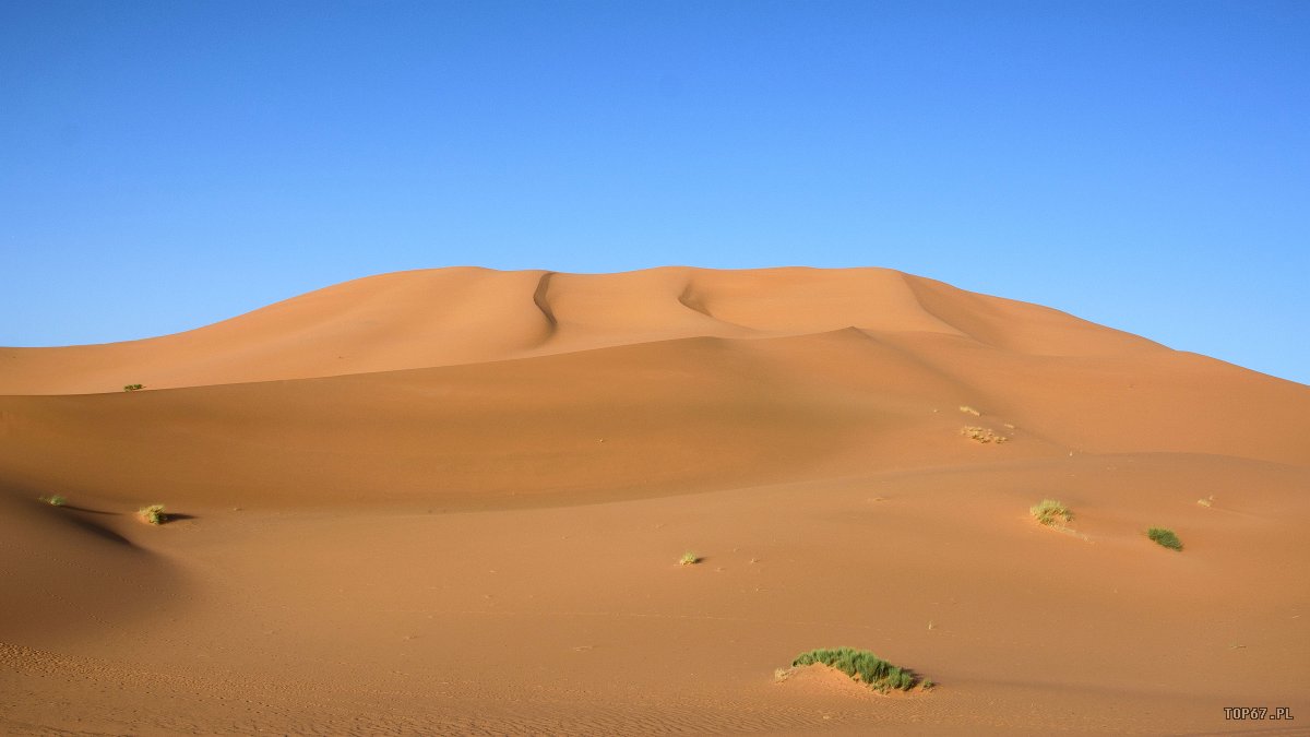 TP4_5204.jpg - Erg Chebbi. Sahara