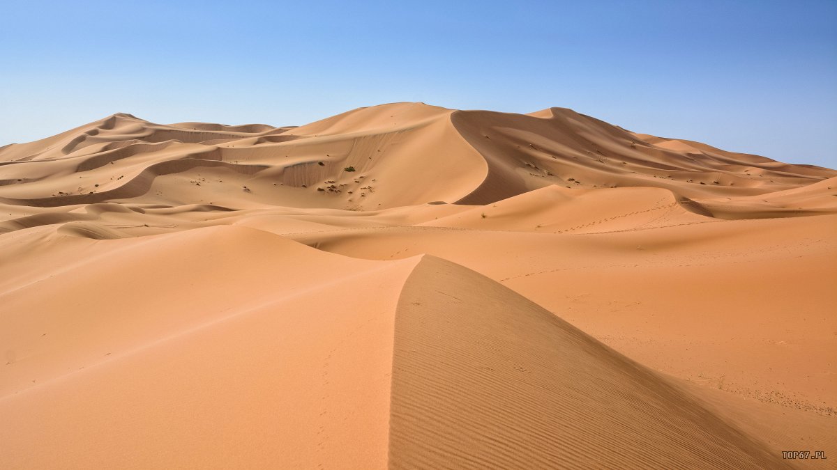 TP4_5376.jpg - Sahara