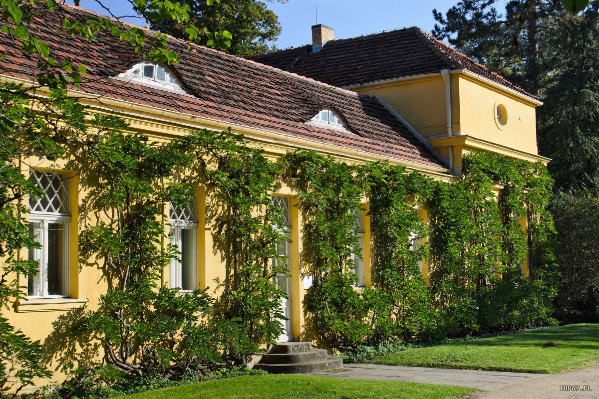 TP1_5982.jpg - Sanssouci Park