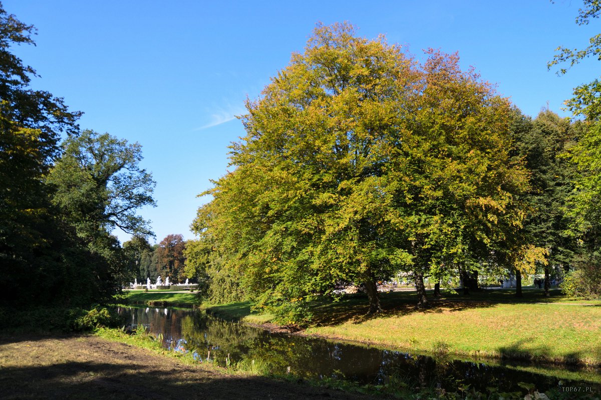 TP1_6124.jpg - Sanssouci Park