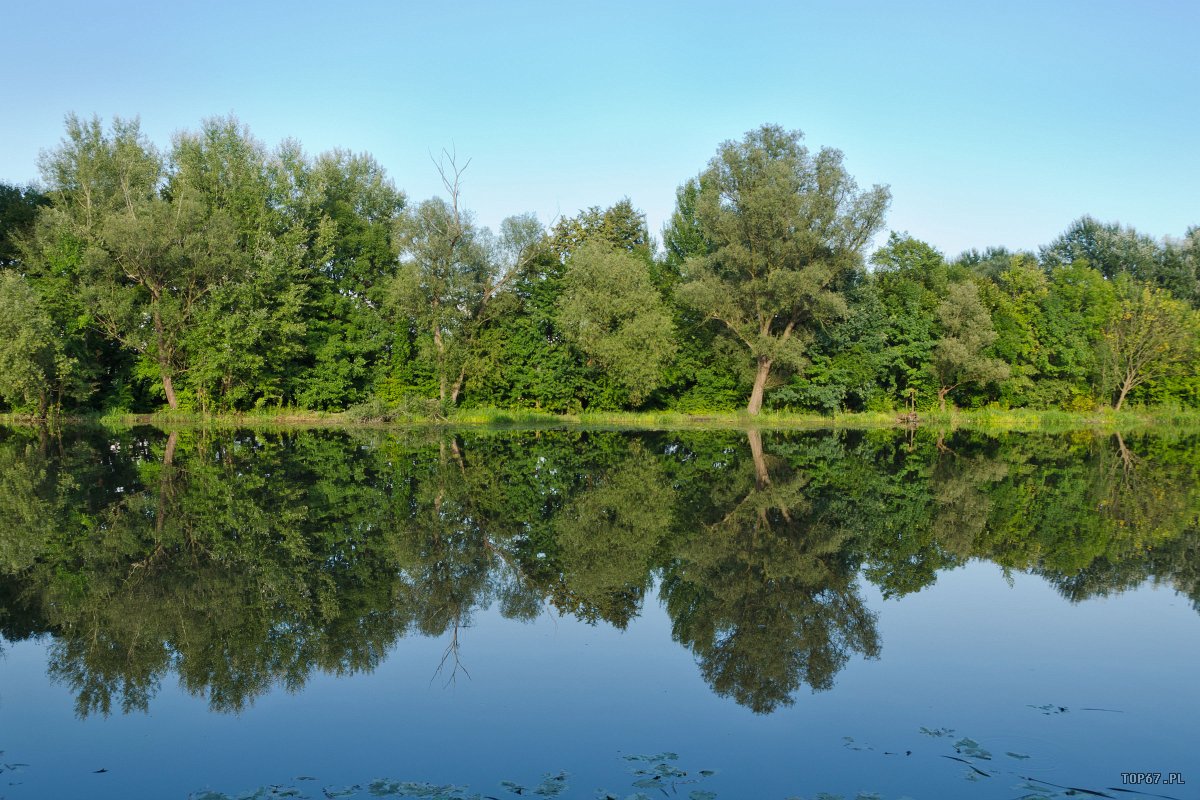 TP0_9760.jpg - Wilanów