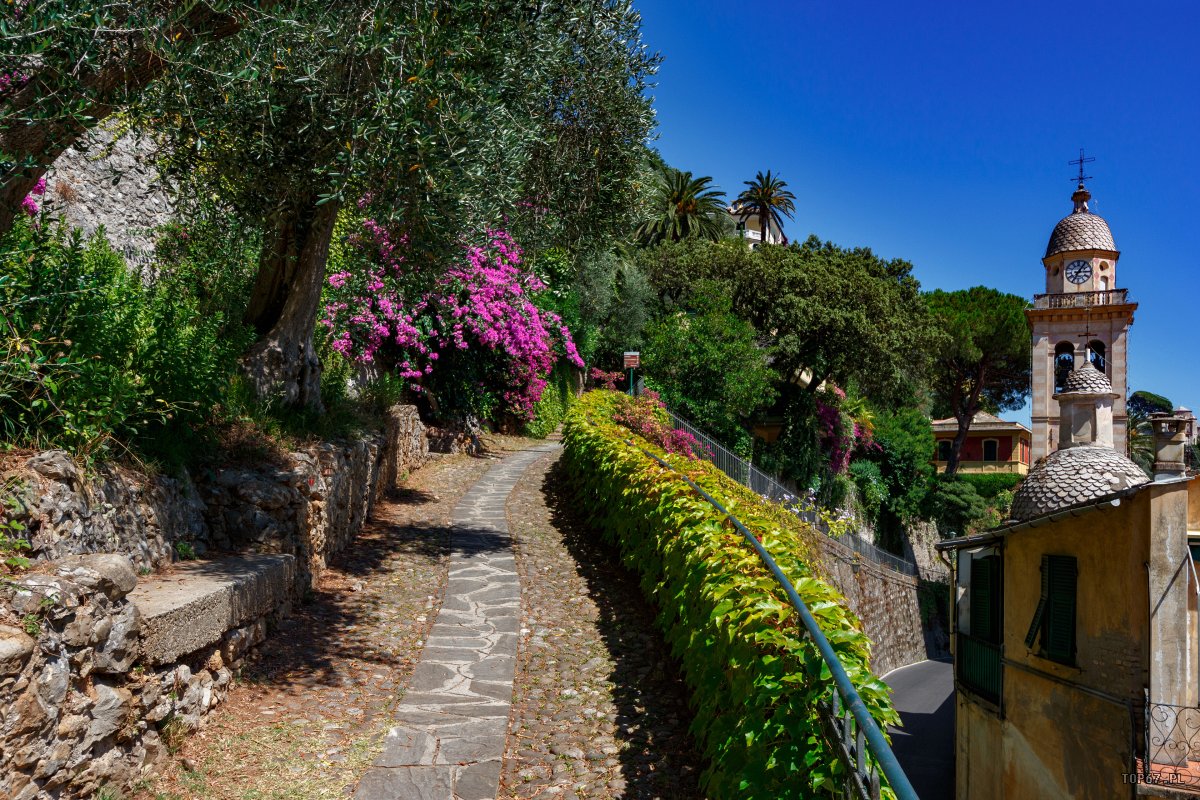 TPB_4344.jpg - Portofino