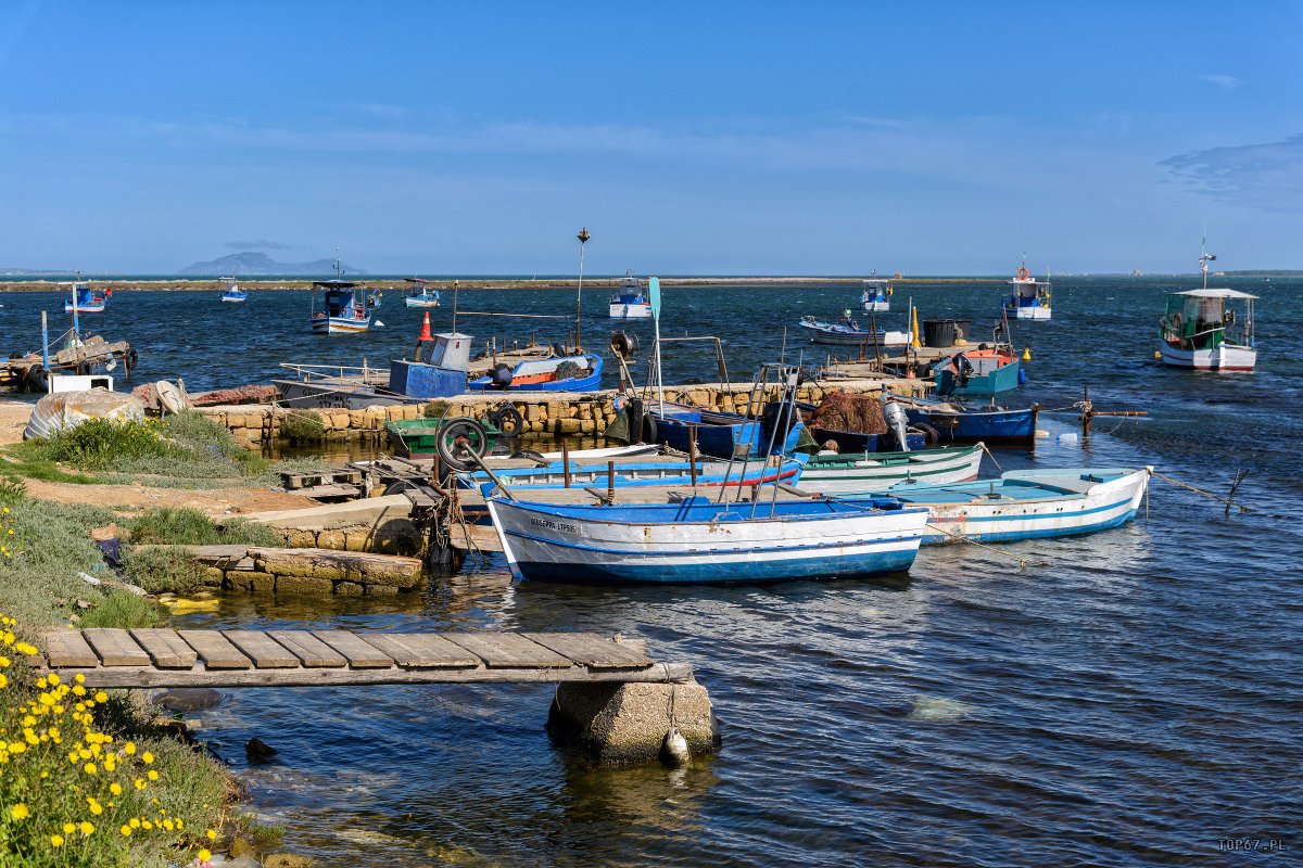 TP6_3588.jpg - Marsala