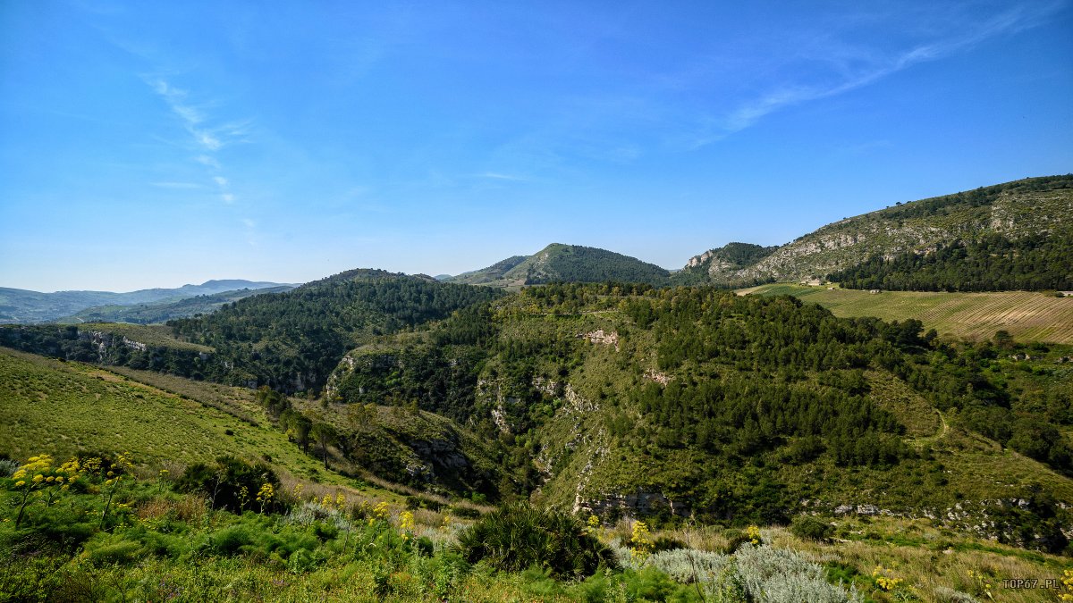 TP6_4393.jpg - Segesta