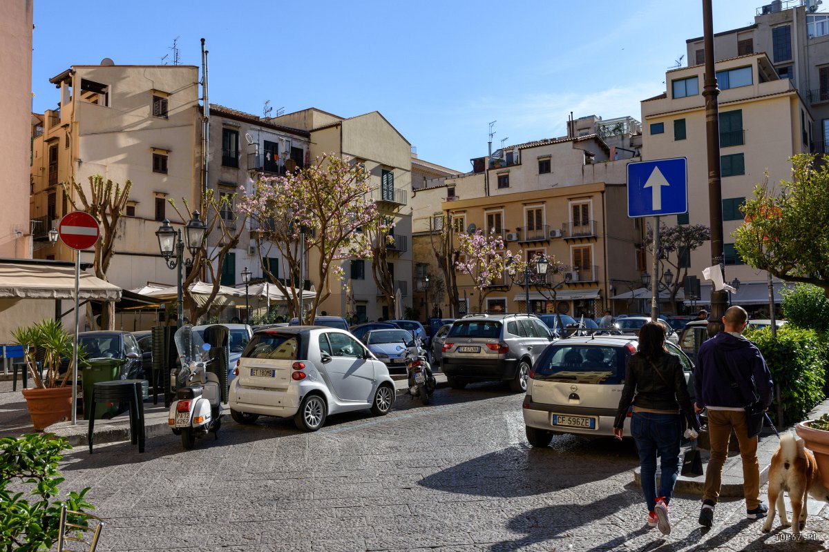 TPC_2518.jpg - Palermo