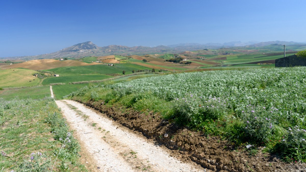 TPC_2292.jpg - okolice Segesta