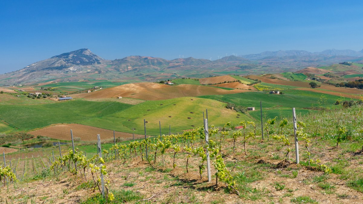 TPC_2297.jpg - okolice Segesta