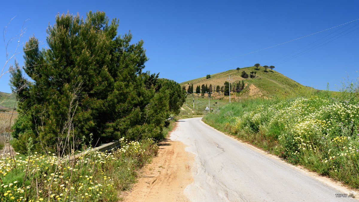 TPC_2298.jpg - okolice Segesta