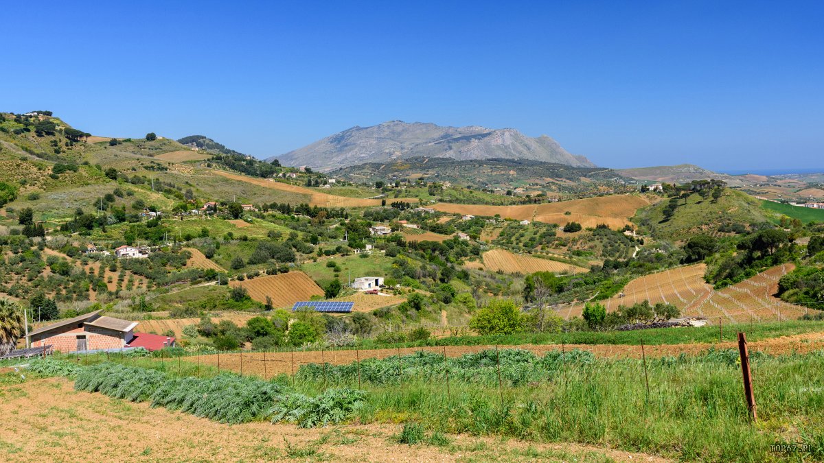 TPC_2321.jpg - okolice Segesta
