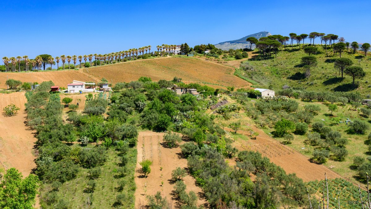 TPC_2329.jpg - okolice Segesta