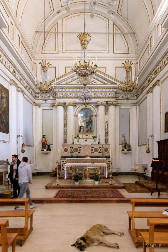 TPC_2363.jpg - Segesta