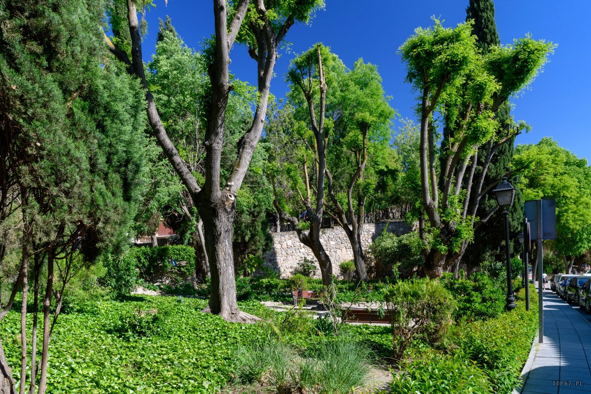 TPE_3685.jpg - Toledo