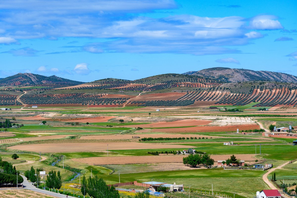 TPE_3746.jpg - Consuegra