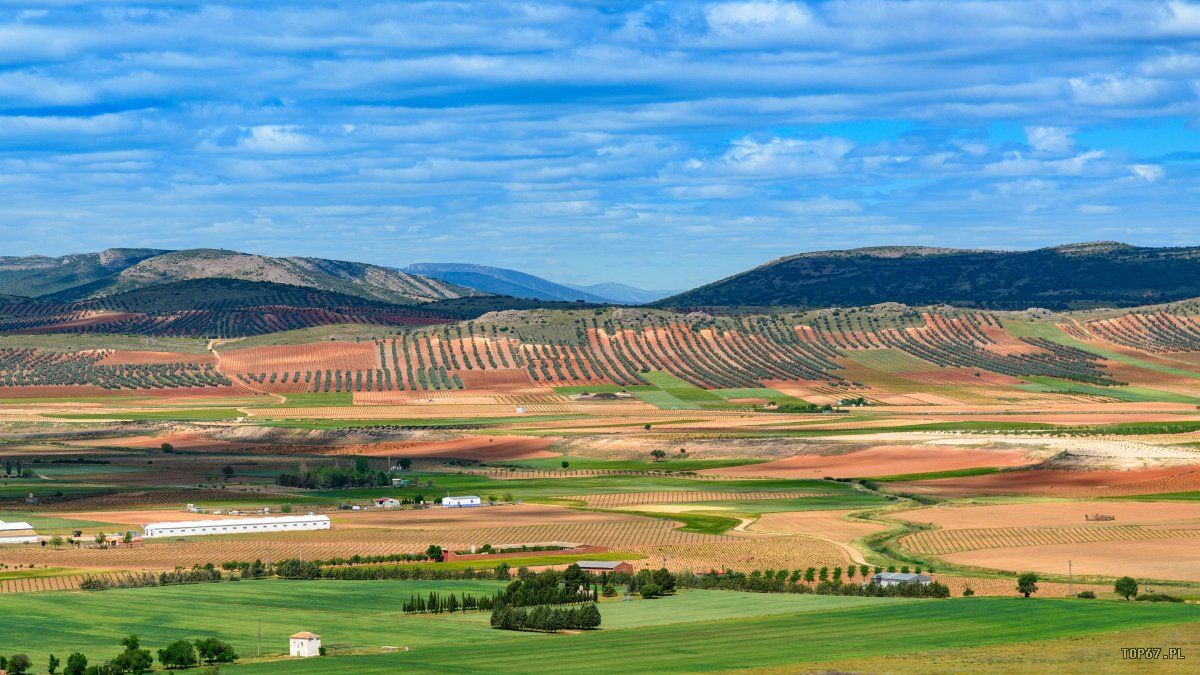 TPE_3792.jpg - Consuegra