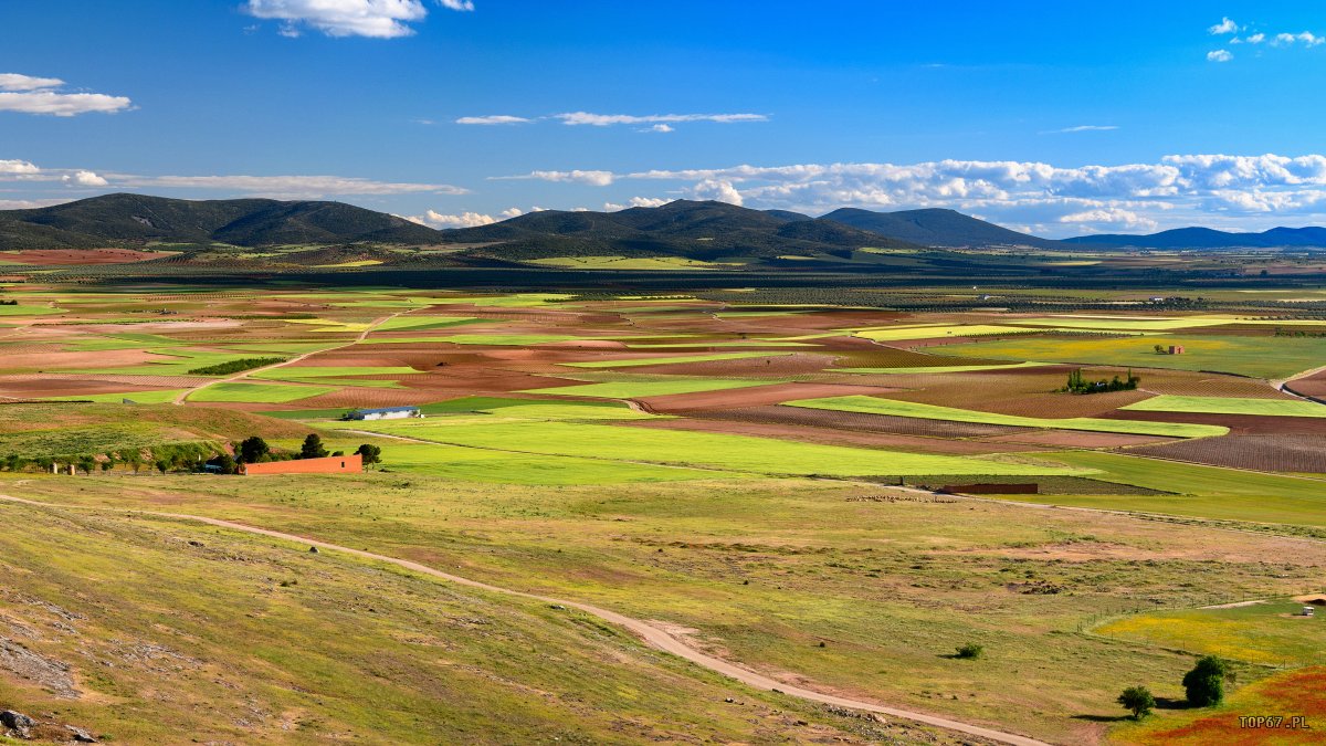 TPE_3966.jpg - Consuegra