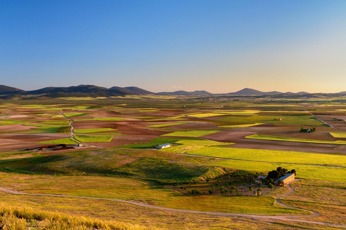 TPE_4026.jpg - Consuegra