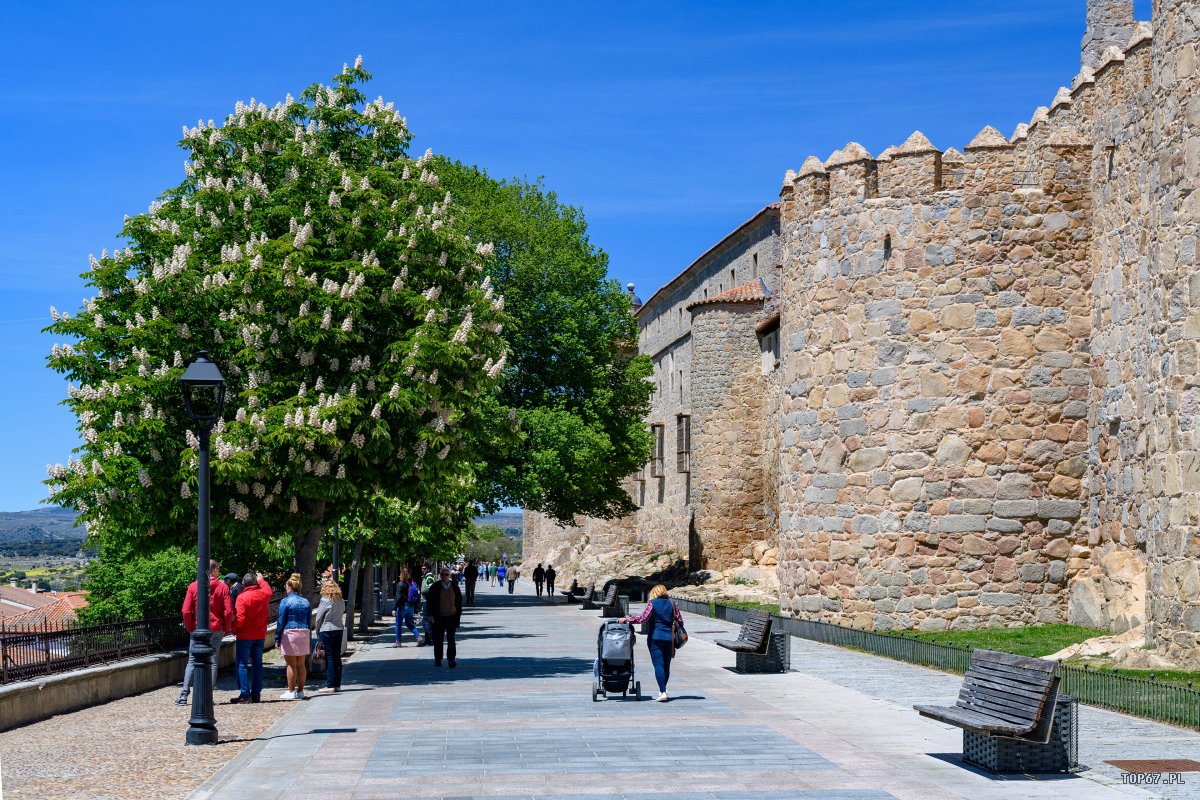 TPE_4130.jpg - Avila